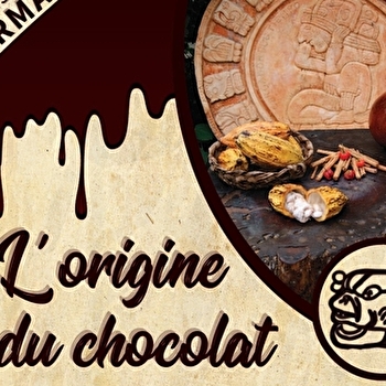 Démonstration gourmande interactive : l'origine du chocolat - BLIGNY-SUR-OUCHE