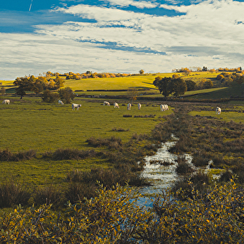 Le Mesvrin - SAINT-SERNIN-DU-BOIS