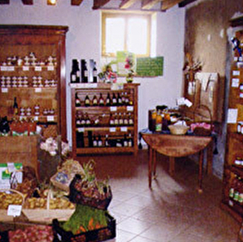 Ferme du Moulin de la Forêt - SURGY