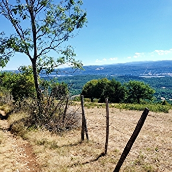 Vallée sèche du Revermont - DROM