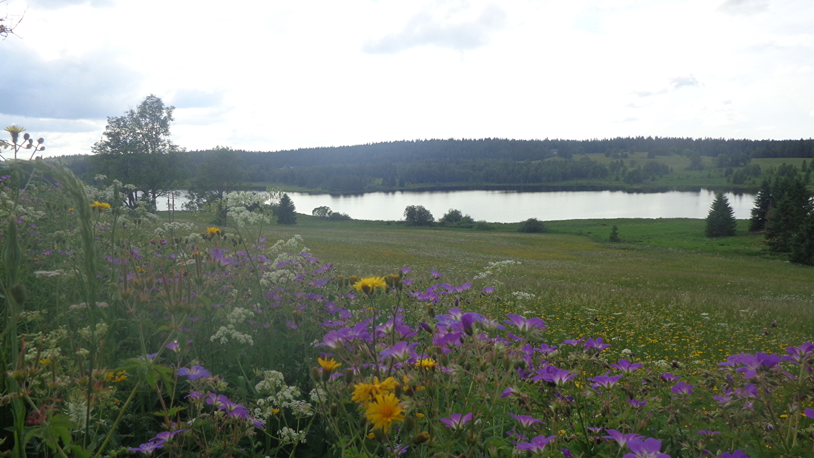 Belvédère sur les Lacs