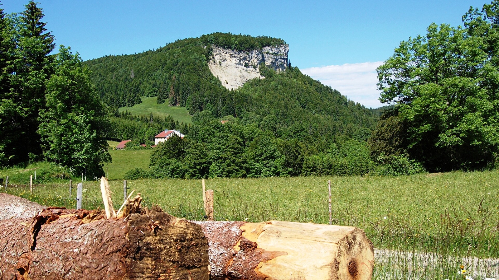 GRP Tour de la Haute Bienne
