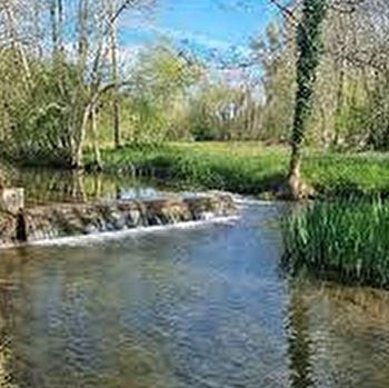 Balade à vélo - Les Lavoirs de l'Aillantais - AUXERRE