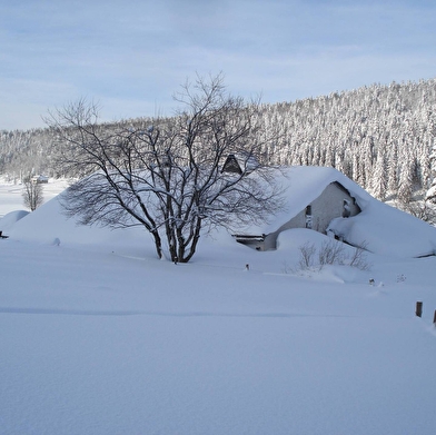 Visite guidée de l'écomusée Maison Michaud
