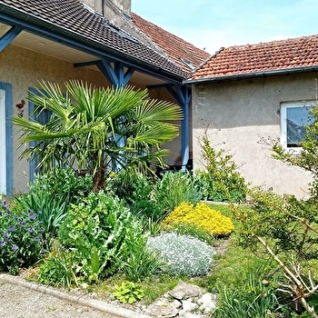 Les Flamants - ECUELLES