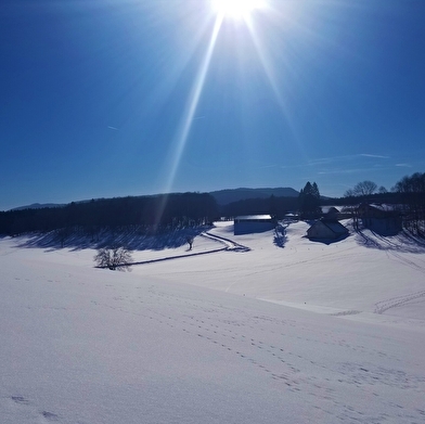 Itinéraire Raquettes du site de Lachat 'Le Nerbier'