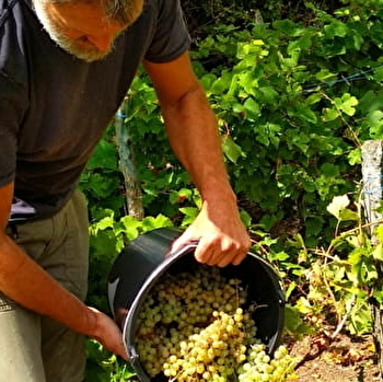 Fil Rouge - SAINT-JULIEN-DE-JONZY