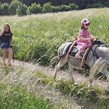 Ferme equestre de la forge - Etueffont