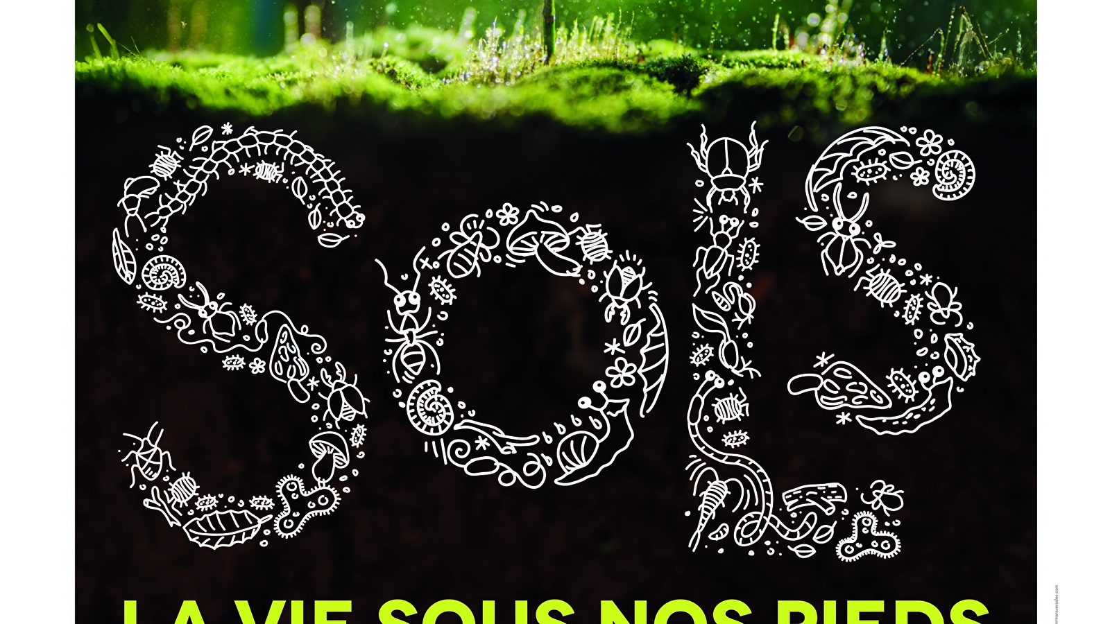 Sols, la vie sous nos pieds
