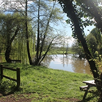 Aire de pique-nique Arconce - CHAROLLES