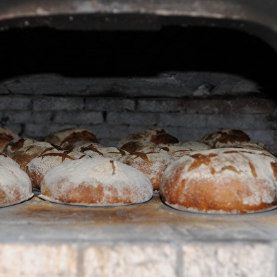 Enfournement des pains et des brioches - Écomusée Maison Michaud