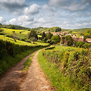 L'aventure forestière au bout des roues - ETRIGNY