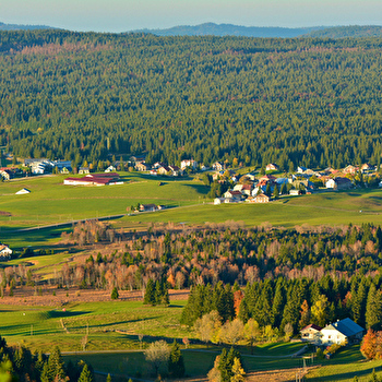 Grotte à Pierre du Bourg - n°2 - CHAPELLE-DES-BOIS