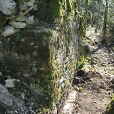 Randonnée - Les crêtes et ruines de la maison forte de Lomont