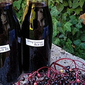 La Maison de Fernande - GOURGEON