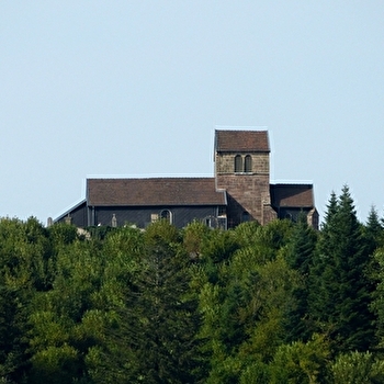 Eglise Saint Martin et cimetiere - FAUCOGNEY-ET-LA-MER