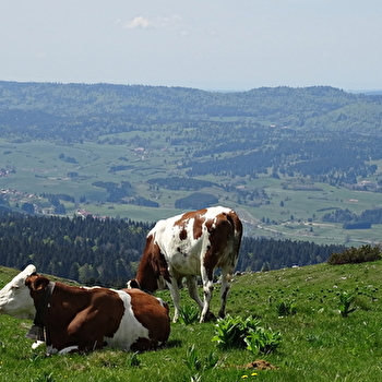 Office de Tourisme du Pays du Haut-Doubs - METABIEF