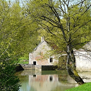 Entre canal et Armançon - BUFFON
