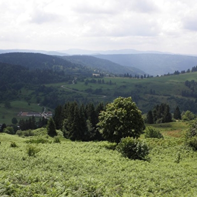Gîte d'étape - La Jonchée