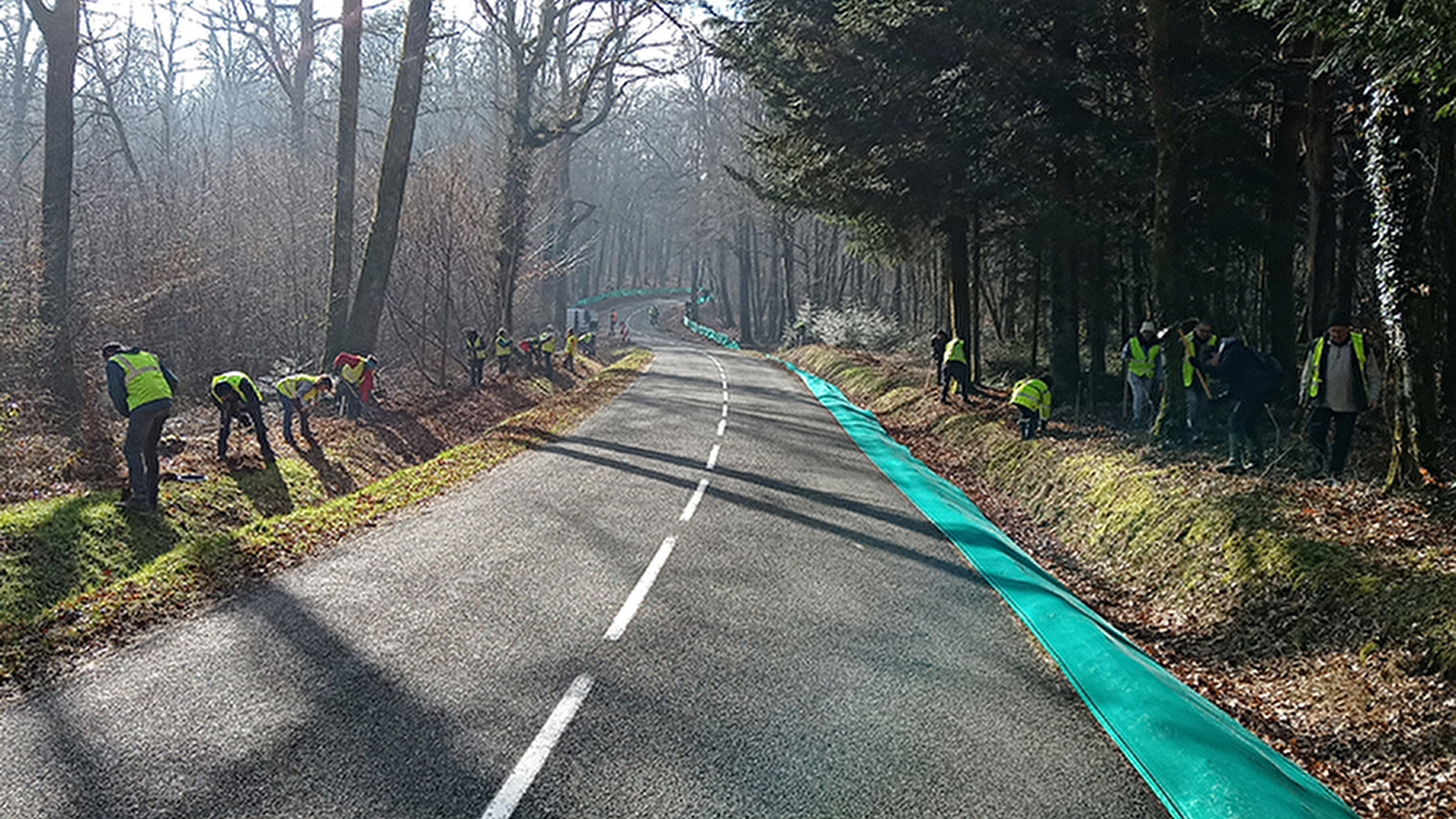 Sauvegarde des amphibiens à Villers-le-Lac