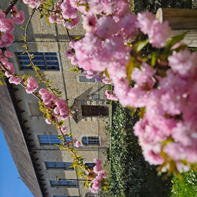 Aire de pique-nique Place des Salines