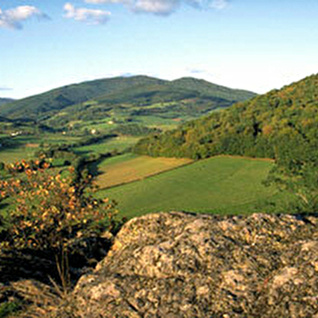 Le Massif du Morvan - SAINT-BRISSON