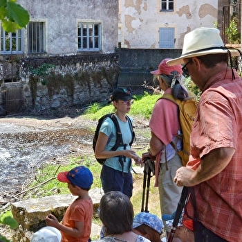 Balade
À la rencontre de la biodiversité au Parc des Chaumes - AVALLON
