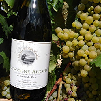 Domaine des Petits Bouchons - CHABLIS