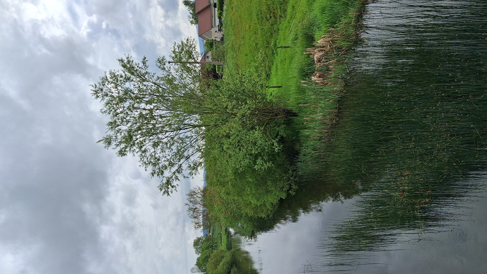 La Côte du Fol - n°106