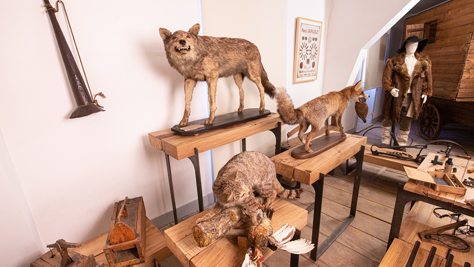 Si le loup y était...