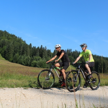 Parcours VTT 63 bleu - La Borne des 3 Cantons - Espace VTT Ain Forestière - PLATEAU D'HAUTEVILLE