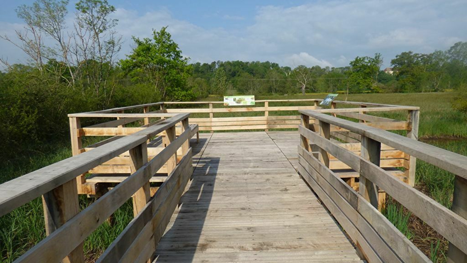 Les seigneurs de la nuit