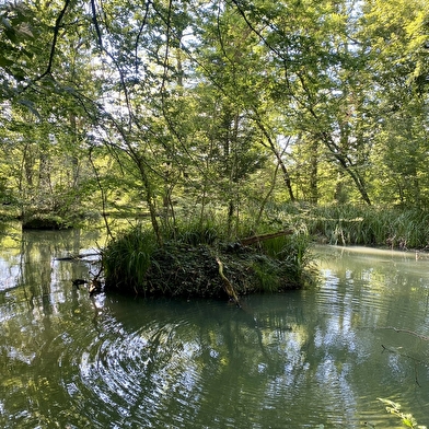 Fontaine en Bertranges