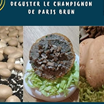 Les P'tits Chap'ô - CERILLY