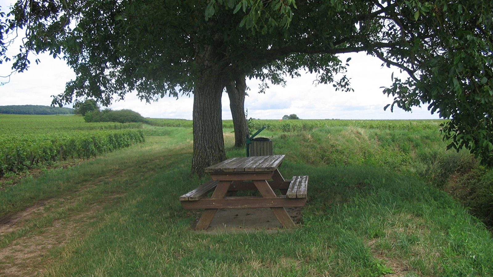 Aire de pique-nique des Lavières