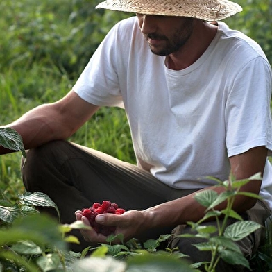 Visite d'une exploitation de fruits bio - Le Champ des Gourmands