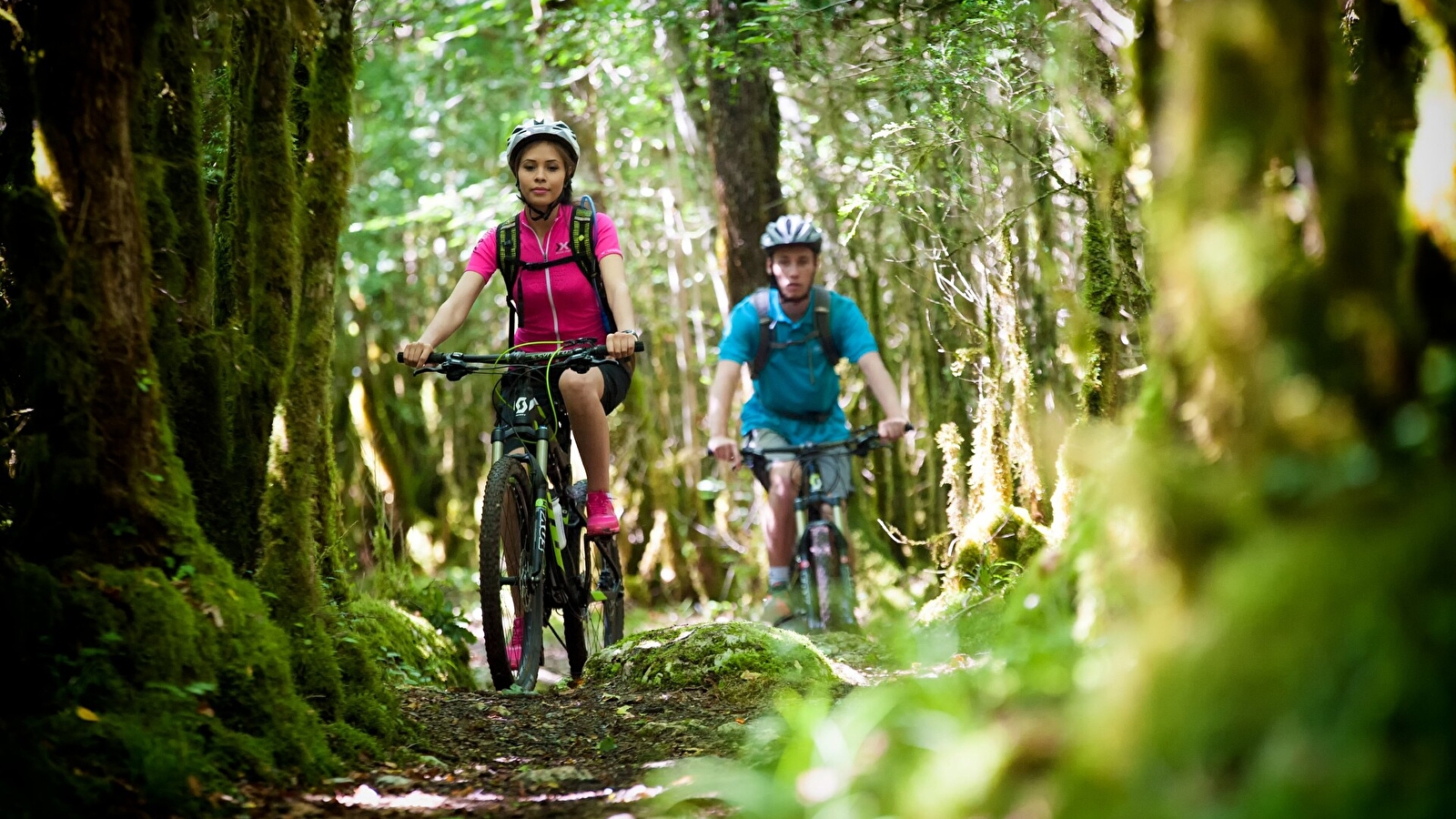 Tour de la Grande Forêt - 110R
