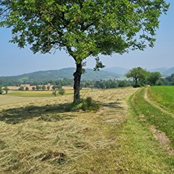 Liaison VTT (L5) Ile Chambod - Corveissiat par Gd Corent, la route des crêtes - HAUTECOURT-ROMANECHE