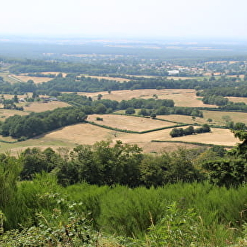 Vue panoramique de Mont - SAINT-HONORE-LES-BAINS