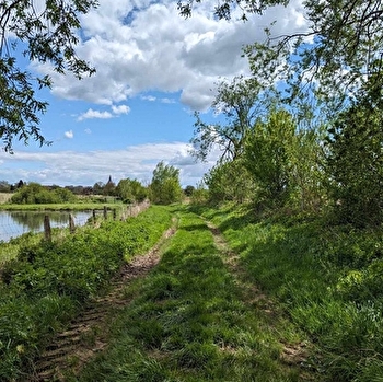 Sentier de la Genévrière - SAINT-MARTIN-EN-BRESSE