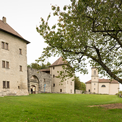 Randonnée VTT - Descente VTT de Clermont en Genevois