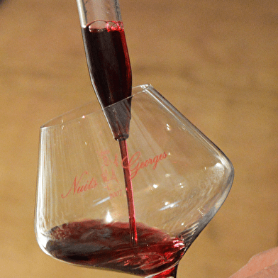 Entre Terre et Cave : l’Art de Vivre en Bourgogne