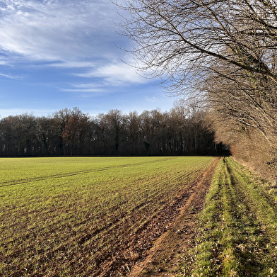 Près du château fort de La Motte-Josserand