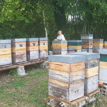 Les miels du Massif du Jura - DOMPIERRE-SUR-MONT