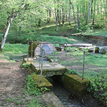 Aire de pique-nique site du tir à l'oiseau - CHAROLLES