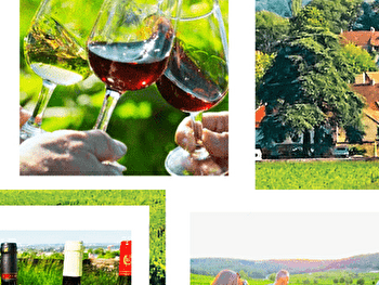 Clos de bourgogne, découverte des Secrets 'vigne et vin' - Couchey