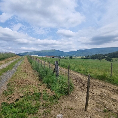 Circuit VTTAE n°9 (rouge) Revers du Revermont - version courte