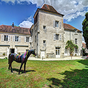 Le château de la Hussardière - VAITE