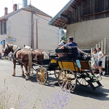 Balade en Calèche - Mors Attelage - MORRE