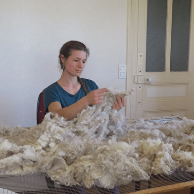 Atelier à la ferme autour des chèvres Angora et de la laine -La Fée Mohair